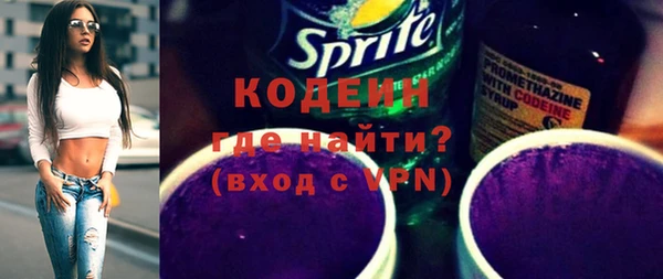 хмурый Инта