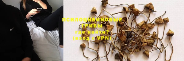 MESCALINE Инсар
