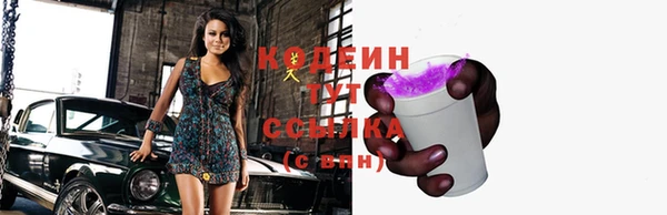 хмурый Инта