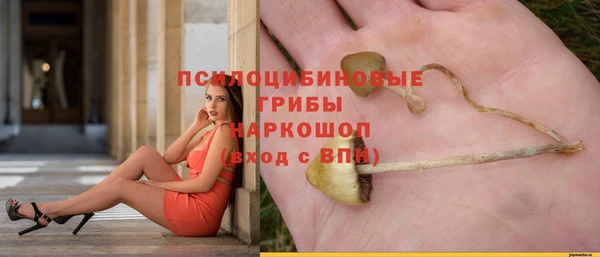 MESCALINE Инсар
