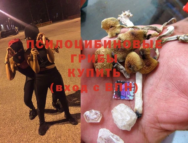 MESCALINE Инсар