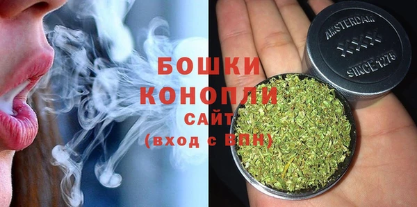 хмурый Инта