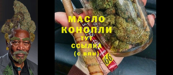 хмурый Инта