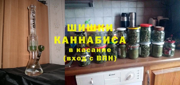 хмурый Инта