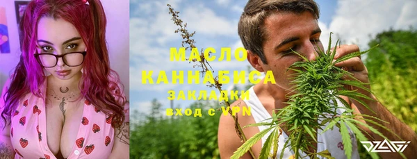 хмурый Инта