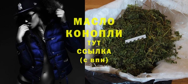 хмурый Инта