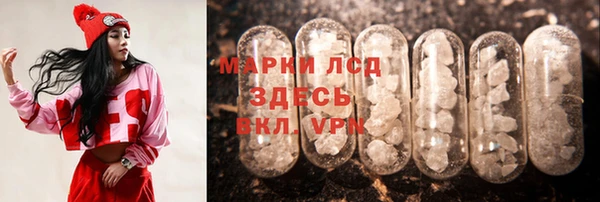 хмурый Инта
