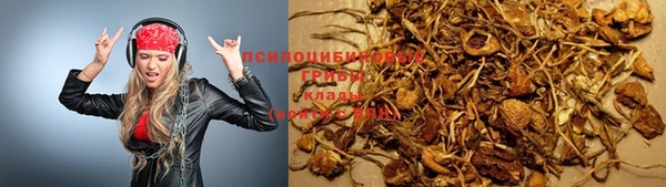 хмурый Инта
