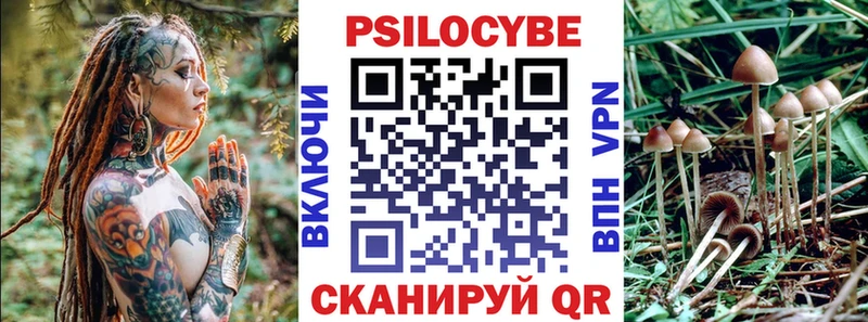 Галлюциногенные грибы Psilocybe  Купить где  Бирск 